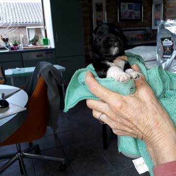 Deolinda heeft de oogjes open